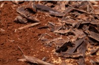 Cioccolato al Latte di Asina
Fattoria Donna Tina