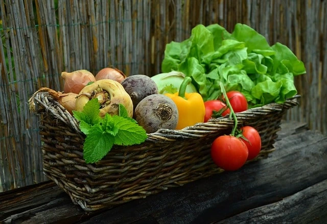 Cesto antico in vimini con ortaggi autunnali su tavolo rustico con sfondo di parete in cannucce, Fattoria Donna Tina, Stigliano, Basilicata