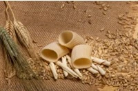 Paccheri artigianali su banco di legno con spighe e chicchi di grano Senatore Cappelli nella Fattoria Donna Tina, Stigliano, Basilicata
