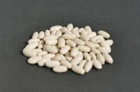 Fagioli bianchi secchi della Fattoria Donna Tina