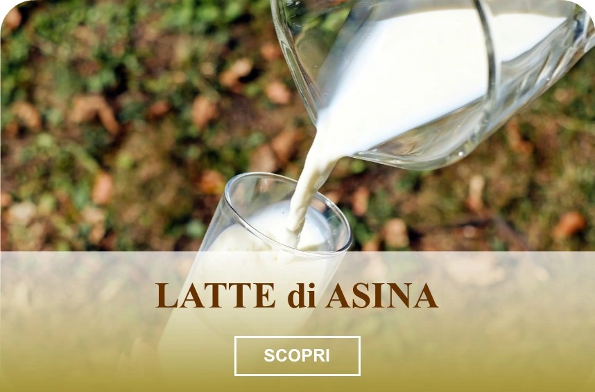Latte di asina fresco versato in un bicchiere da una giara, con sfondo naturale del terreno a Stigliano, Basilicata