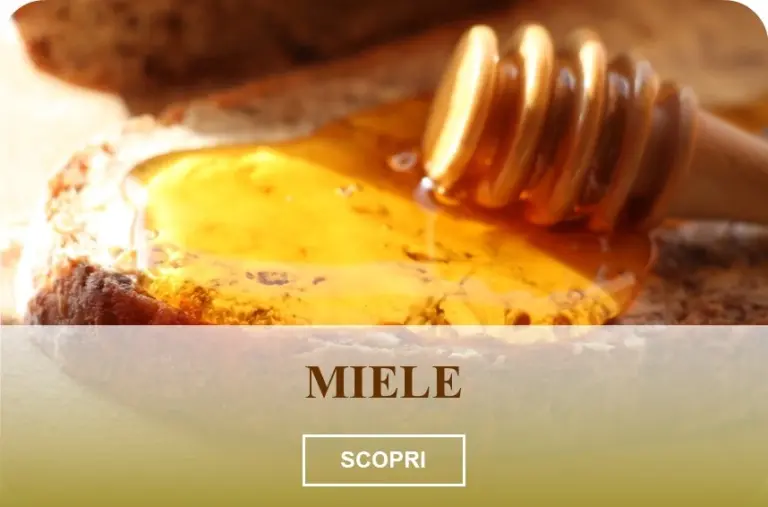 Coglimiele su fetta di pane con miele, su tavolo rustico in legno nella Fattoria Donna Tina a Stigliano, Basilicata