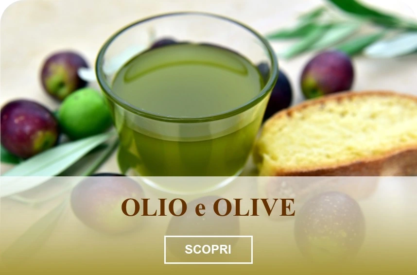 Ciotola di olio extravergine di oliva con crostino, olive invaiate e foglie di ulivo nella Fattoria Donna Tina, Basilicata