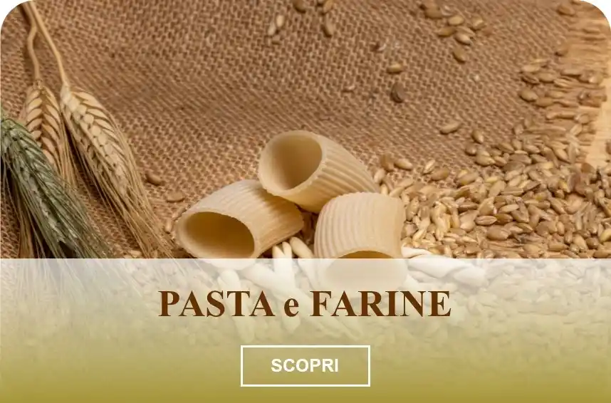 Paccheri artigianali su banco di legno con spighe e chicchi di grano Senatore Cappelli nella Fattoria Donna Tina, Stigliano, Basilicata